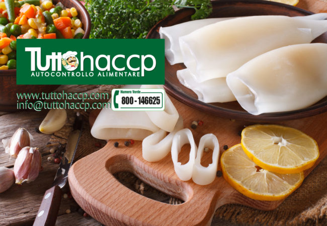 bnr-molluschi-seppie-totani