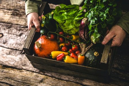 controlli-settore-biologico