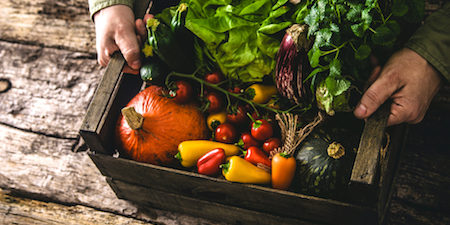 decreto-controlli-biologico controlli-settore-biologico