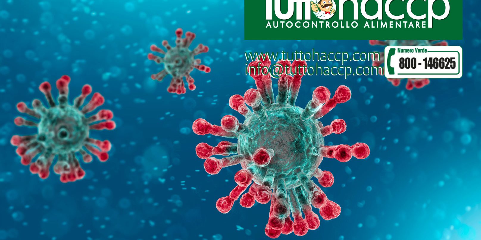 banner-covid haccp covid 19