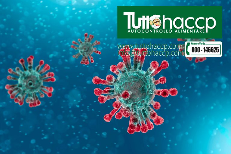 haccp covid 19