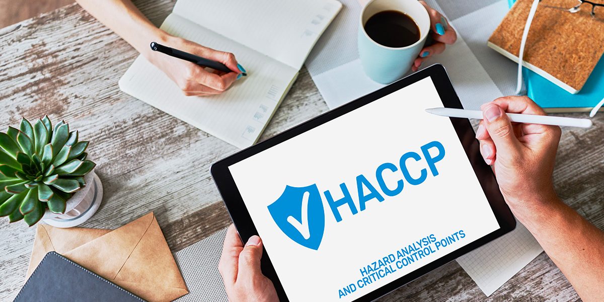 guida ai corsi haccp online